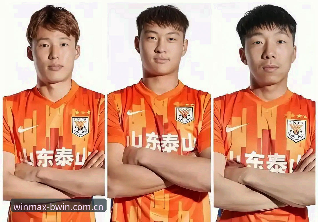 足协禁足名单操作教程：如何通过必赢体育平台解析赛事风险